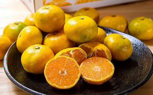 【糖度12度以上】みかん「南国の陽蜜・陽宝」5kg　宮崎県西都産【先行予約】＜1.5-169＞