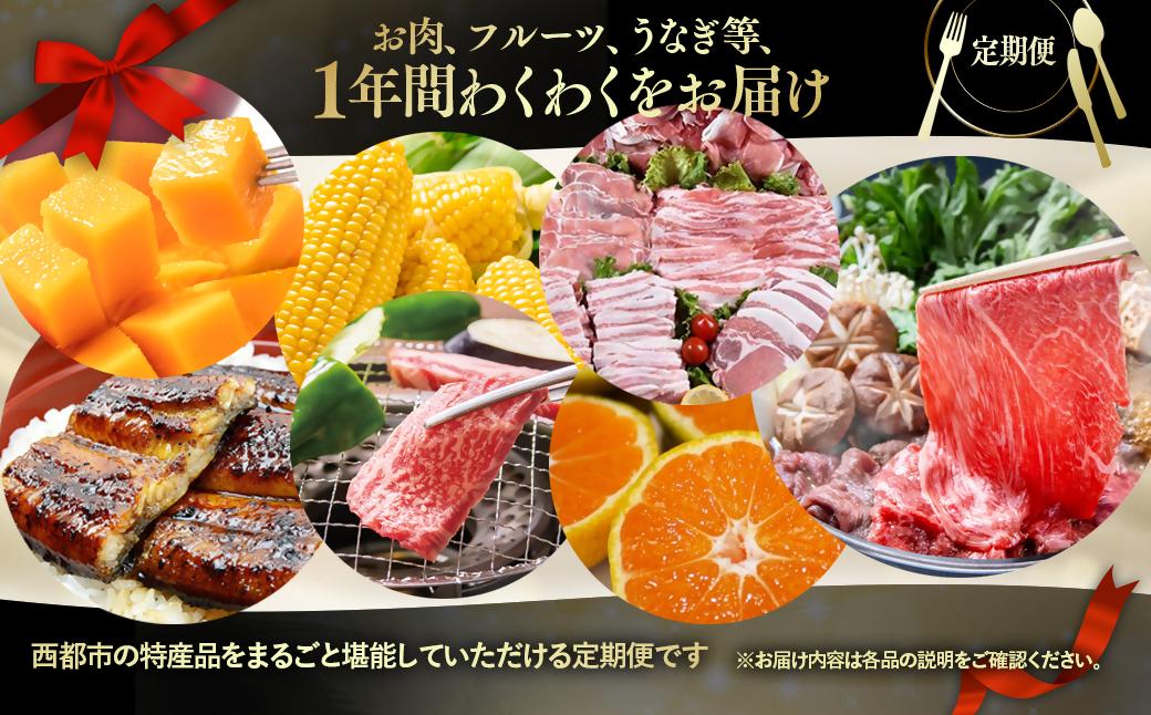 【季節の定期便】12ヶ月毎月届く 西都まるごと堪能セット 48品お届け！【プレミアムコース】 宮崎牛 うなぎ 牛肉 豚肉 鶏肉 すき焼き 鍋等＜100-3＞12月31日終了