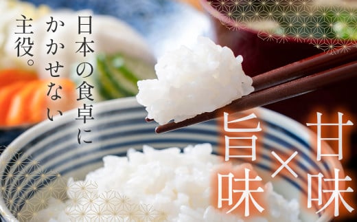 【3ヶ月定期便】 新米コシヒカリ無洗米 5kg×3 合計15kg 令和7年産 10月～12月発送 宮崎県西都市産＜4.9-3＞こしひかり 精米 白米 お米 宮崎県 西都市 コシヒカリ：3ヶ月定期便 5kg×3【寄附額49,000円】