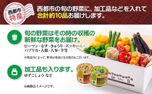 【5回定期便】西都市旬の特産詰め合わせセット 1月発送開始 マンゴー・野菜・スイートコーンなど＜7-8＞野菜定期便 野菜 果物 5回届く ふるさと納税 宮崎県西都市