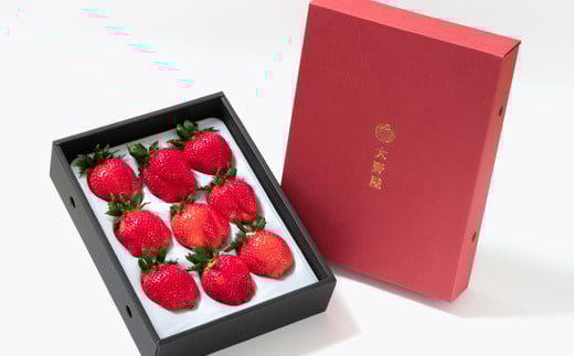 【先行予約】大粒厳選いちご やよいひめ1パック 450ｇ 苺大野屋 宮崎県西都市＜1.5-232＞苺 いちご 果物 くだもの フルーツ 贈答用 ギフト 大粒450ｇ×1パック【寄附額15,000円】