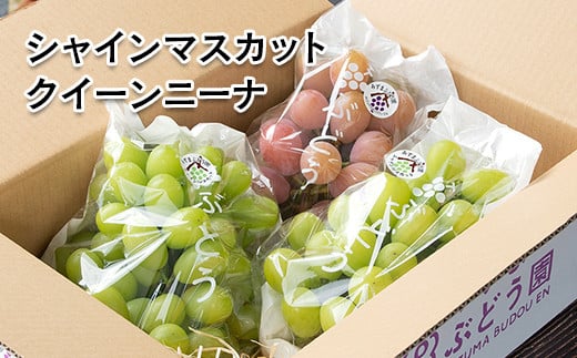 シャインマスカット＆クイーンニーナ 食べ比べセット 2.2kg（3～7房）西都産完熟ぶどう《先行予約・2025年発送》＜2-3＞ぶどう ブドウ 果物 くだもの フルーツ 宮崎県西都市