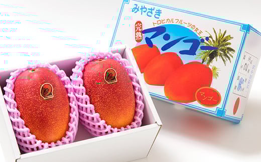 西都産完熟マンゴー大玉！4Ｌ×2玉（約1ｋｇ）【化粧箱入り】《先行予約》＜1.5-178＞2026年発送 果物 くだもの フルーツ 宮崎県西都市