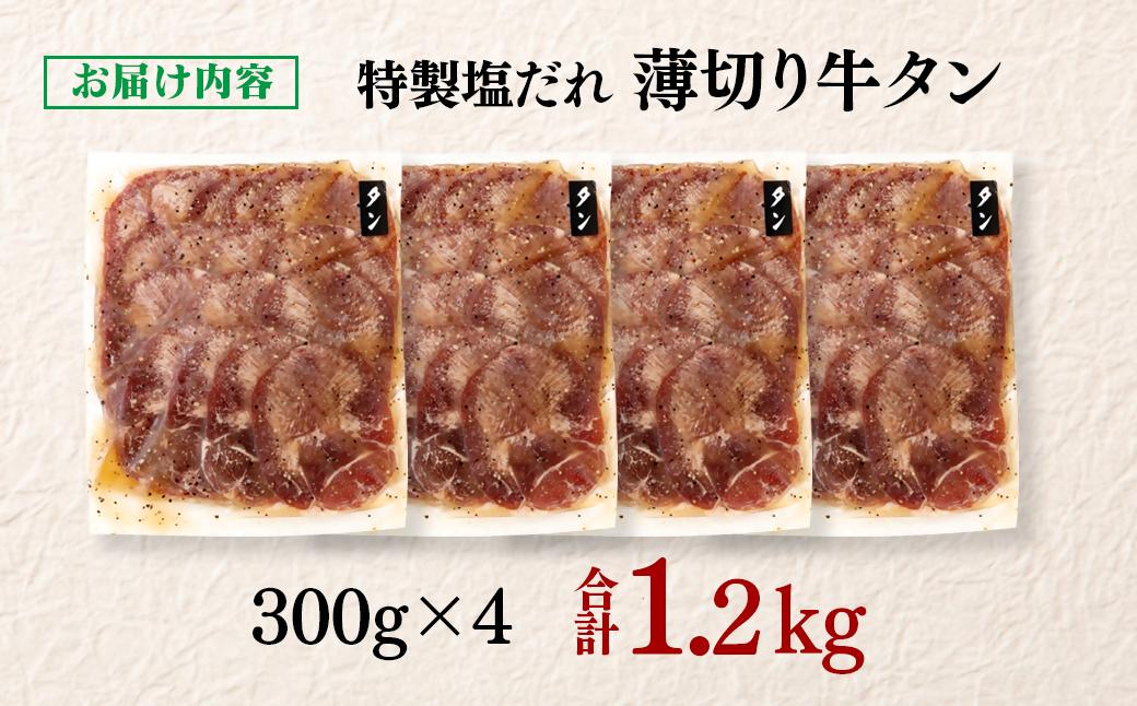 特製塩だれ薄切り牛タン 1.2kg＜1.6-39＞味付き BBQ 焼肉 たれ タレ塩ダレ 小分け 特製塩だれ1.2kg　16,000円