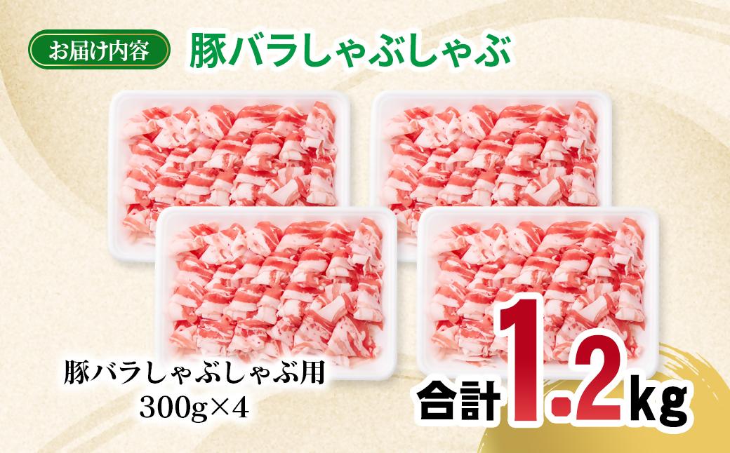 宮崎県産豚肉 豚バラスライス しゃぶしゃぶ 1.2kg(300g×4パック) 小分け＜1.4-35＞