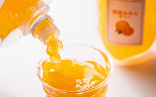 贅沢みかんゼリー詰合わせセット　西都市産「陽蜜みかん」使用＜1.2-5＞果物 くだもの フルーツ デザート おやつ ギフト 宮崎県西都市 通常お届け