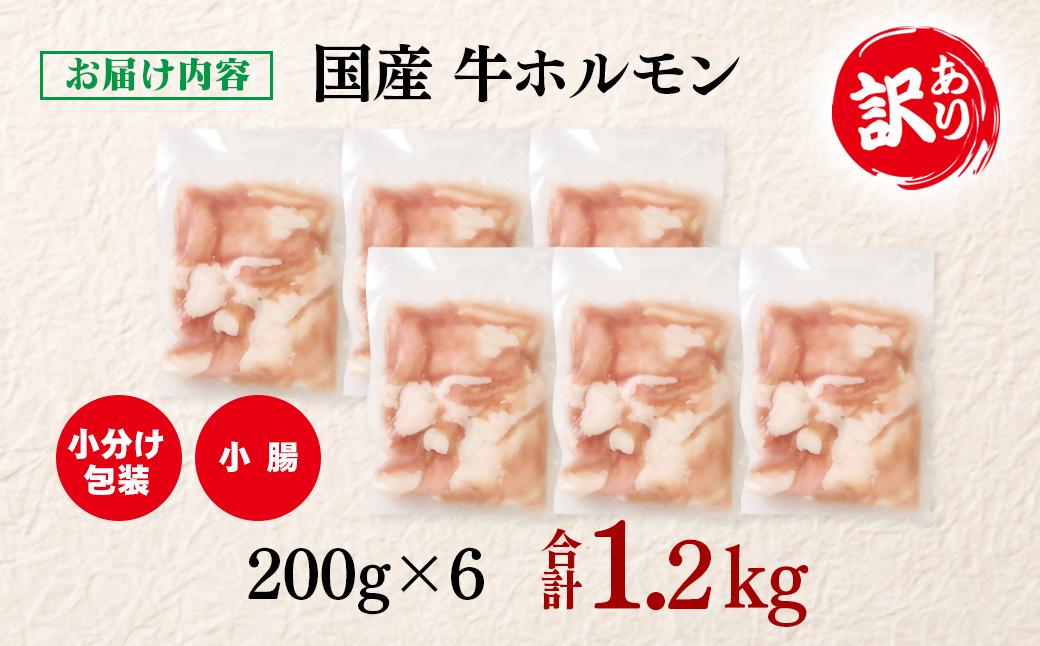 訳あり牛ホルモン1.2㎏ 小分け200g×6 国産 ホルモン もつ鍋 焼肉用 国産牛 牛モツ コラーゲン＜1-300＞