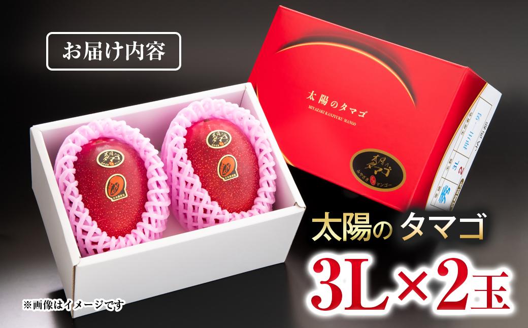 【先行予約】最高級ブランド『太陽のタマゴ』大玉 3L×2個【糖度15度以上】宮崎県西都市産完熟マンゴー＜3.1-3＞2026年発送