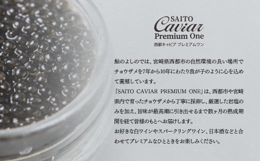 SAITO CAVIAR PREMIUM ONE SHIRO 20g・BAERII20g ＜9-10＞キャビア 西都市オリジナル