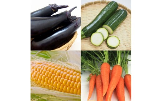 【数量限定・先行予約】西都市特産新鮮野菜と柚子こしょう詰め合わせセット＜1-48＞野菜 調味料 特産品 宮崎県西都市