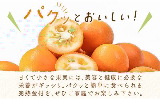 【先行予約】宮崎県西都市産 完熟きんかん 3kg（3L～L）＜1.2-41＞W