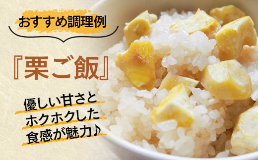 【先行予約】新鮮朝どれ生栗 3kg 西都市産＜49-6a＞