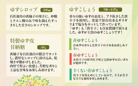 （B）「銀の柚子」製品詰め合わせ　ゆずこしょう・ゆずポン酢など【3月10日終了】<1-75>加工品 調味料 ギフト 柚子 ゆず 宮崎県西都市