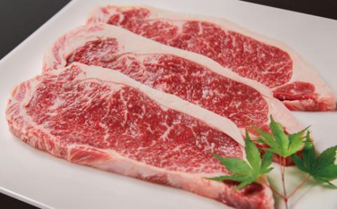 【3月17日終了】国産この華牛 サーロインミニッツステーキ3枚（約400ｇ）＜1.2-63＞牛肉 肉 ステーキ 焼肉 国産 宮崎県西都市