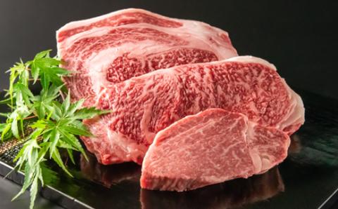 【3月17日終了】国産黒毛和牛 高級部位ステーキ食べ比べ3種セット 合計650ｇ＜2.8-1＞牛肉 肉 焼肉 食べ比べ ステーキ 黒毛和牛 宮崎県西都市