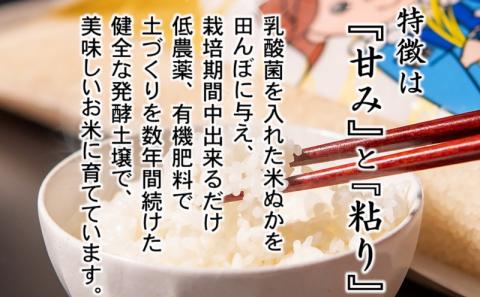 【先行予約】令和6年産新米コシヒカリ10kg（5ｋｇ×2） 『伊東マンショ米』＜1.5-124＞