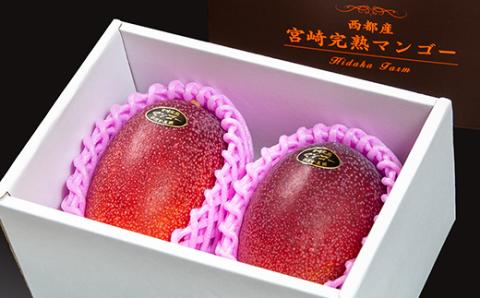 【ANA限定】西都産完熟マンゴー3L×2玉 ひだか農園＜1.8-4＞先行予約 2025年発送 果物 フルーツ くだもの 宮崎県西都市