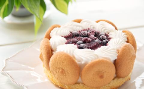 2種類から選べるアイスケーキ【もりのふうオリジナル】＜1-268＞アイス ケーキ お祝い ギフト デザート お菓子 宮崎県西都市