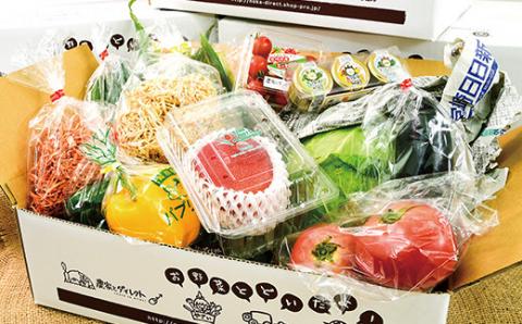 【先行予約・定期便】西都市旬の特産詰め合わせセット　マンゴー・野菜・スイートコーンなど＜6-18＞