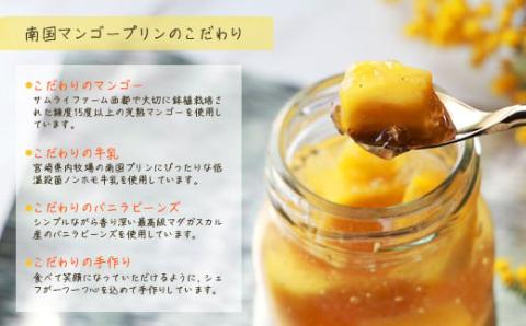 【11月13日終了】宮崎完熟マンゴープリンセット　6個入り＜1-275＞