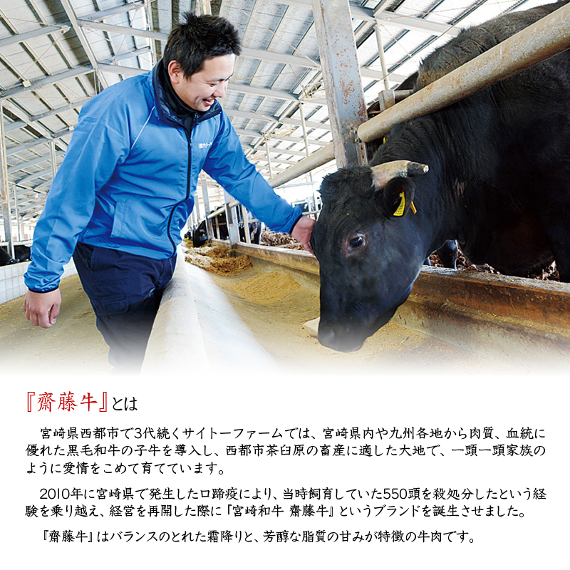 【お中元ギフト】宮崎和牛「齋藤牛」牛100％手作りプレミアムハンバーグセット（120g×6個 計720ｇ）＜1.2-60＞