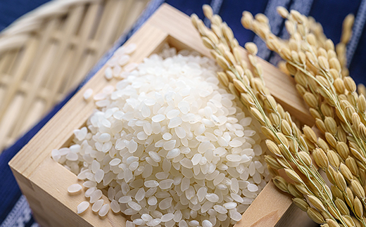 【3ヶ月定期便】お味噌屋さんのお米『おてんとそだち』10ｋｇ×3ヶ月【先行予約】＜4.5-8＞新米 西都市 米30ｋｇ