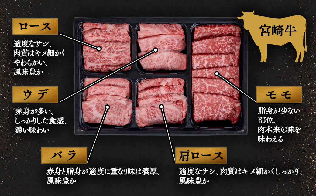 【最速便】【10月より寄附金額見直し】宮崎牛＆宮崎県産豚肉 焼肉10種盛り 食べ比べセット600ｇ ミヤチク 内閣総理大臣賞４連続受賞＜1.2-68＞牛肉 宮崎牛 豚肉 国産 宮崎牛 焼肉