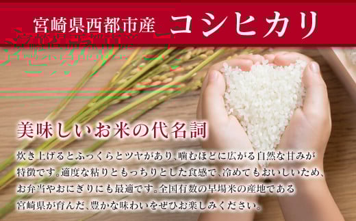 8月発送開始【5ヶ月定期便】 新米コシヒカリ無洗米 5kg×5 合計25kg 令和7年産 8月～12月発送 宮崎県西都市産＜8.5-7＞こしひかり 精米 白米 お米 宮崎県 西都市 コシヒカリ：5ヶ月定期便 5kg×5【寄附額85,000円】