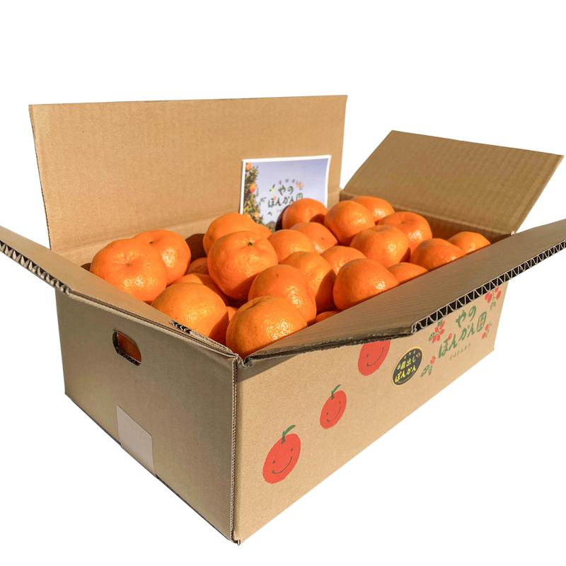 【ANA限定】【先行予約】＼数量限定／西都市産 蔵出し熟成ぽんかん 5kg　やのぽんかん園直送 ＜1-34＞