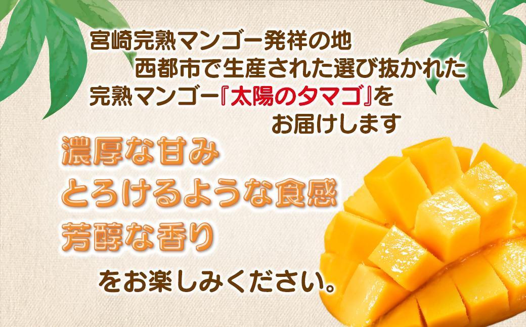 7月発送【先行予約】最高級ブランド『太陽のタマゴ』2L×2個【糖度15度以上】宮崎県西都市産完熟マンゴー＜3.6-5＞宮崎マンゴー 果物 フルーツ 甘い 7月発送　太陽のタマゴ2L×2個