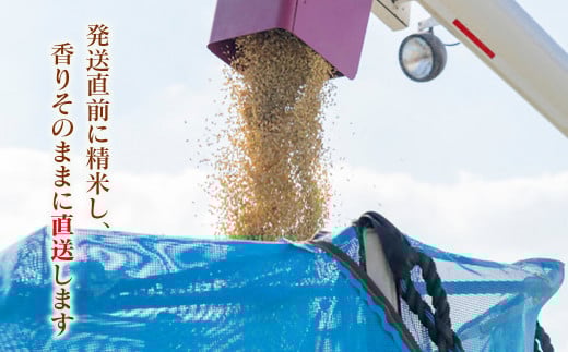 【令和7年産新米・先行予約】ヒノヒカリ 5kg ※10月中旬以降順次発送予定 精米済み ＜1.3-23＞ 新米 ヒノヒカリ お米 精米 5キロ 米 ライス 宮崎県 西都市 ひのひかり：5kg【寄附額13,000円】