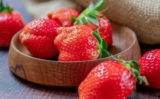 【先行予約】苺大野屋 やよいひめ 厳選いちご 250g×2パック 500g 宮崎県西都市＜1-294＞苺 果物 くだもの フルーツ 500g(250g×2パック)【寄附額11,000円】