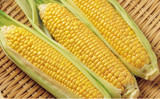 西都市産スイートコーン6kgと西都市産スイートコーンドレッシングセット【先行予約】＜1.4-26＞2026年発送 野菜 とうもろこし 調味料 宮崎県西都市★