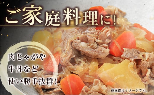 【ANA限定】宮崎牛切落とし600ｇ（300ｇ×2パック） 内閣総理大臣賞４連続受賞 A4等級以上＜1.2-52＞牛肉 黒毛和牛 ブランド牛 日本一 宮崎県西都市
