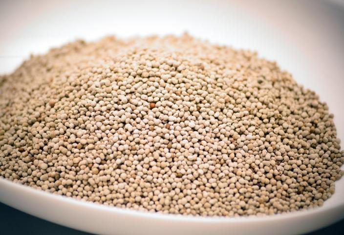 【毎日の美容と健康に】生えごま油（70g×2本）<1-240>純度100％ ドレッシング 食用油 宮崎県西都市