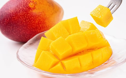 【先行予約】山下果樹園 ご家庭用完熟マンゴー1kg（3～5玉）2026年発送<1.5-25>果物 くだもの フルーツ 西都市 宮崎県