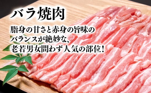 宮崎県産豚肉4種セット 合計3.7ｋｇ 小分けパック　小間切れ・ローススライス・豚ロース・豚バラ＜1.6-30＞豚肉 ポーク 大容量 小分け 宮崎県西都市