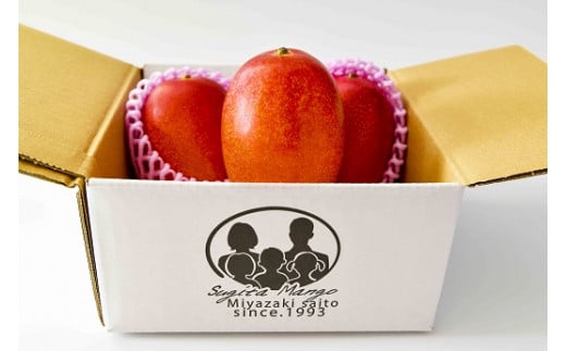 【先行予約】杉田農園 訳あり 西都市産 ご家庭用完熟マンゴー（２玉～3玉） 生産者直送 宮崎マンゴー　2026年発送＜1.3-25＞