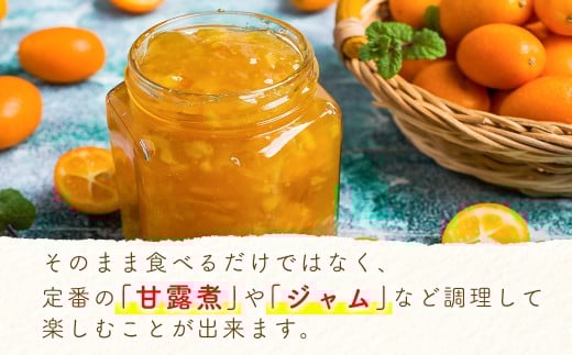 【先行予約】宮崎県西都市産 完熟きんかん １kg（3L～L）　2026年発送＜1-233＞