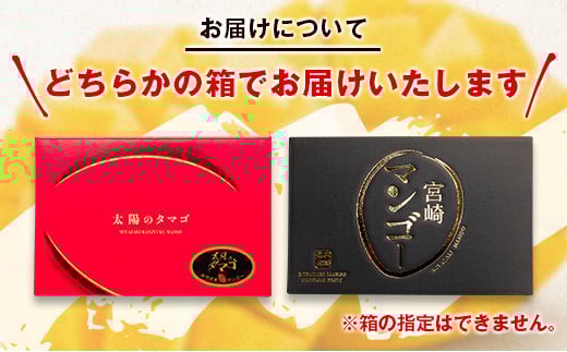 【先行予約】最高級完熟マンゴー 太陽のタマゴ 2Ｌ×2玉 西都市特産＜2-76＞2026年発送 果物 くだもの フルーツ 宮崎県西都市