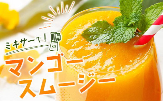 【先行予約】「訳あり」ご家庭用完熟マンゴー2kg（4玉～8玉）宮崎県西都市産＜2-95＞2026年発送 果物 くだもの フルーツ 宮崎県西都市