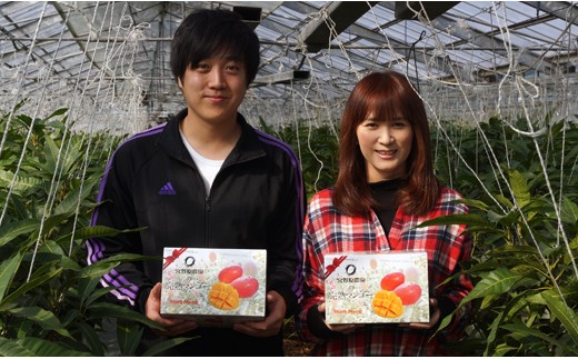 【ANA限定】糖度16度以上！宮崎スターズマンゴープレミアム 2～3玉（約1kg）宮野原農園 【先行予約】2026年発送＜3.5-18＞果物 くだもの フルーツ ギフト 宮崎県西都市