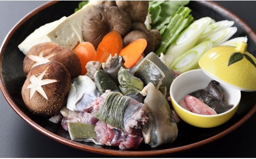 【ブランドゆずすっぽん】骨付きすっぽん肉　300ｇ<1.2-3>肉 スッポン 魚介類 鼈 骨付き肉 宮崎県西都市