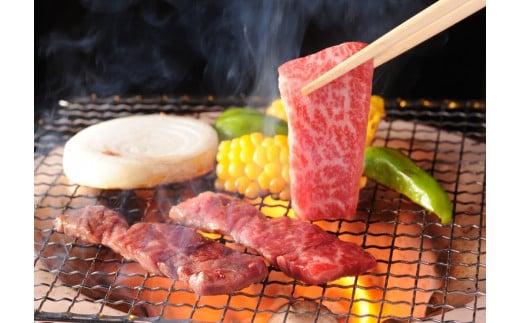 【お歳暮ギフト】黒毛和牛稀少部位を含む 特上焼肉極み500g 有田牧畜産業ブランドEMO牛 牛肉 焼肉 国産牛肉＜1.8-23＞ お歳暮ギフト