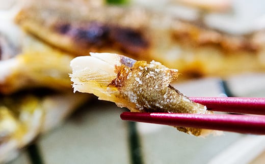 鮎の塩焼き・甘露煮ギフト ＜1.1-36＞川魚