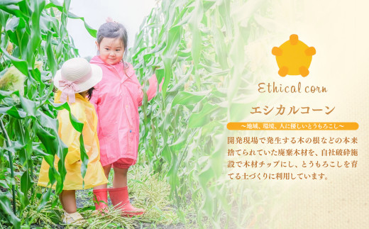 宮崎県西都市産スイートコーン使用 とうもろこしパウダー＜1-4＞粉末 粉 離乳食 スープ 調味料 宮崎県西都市