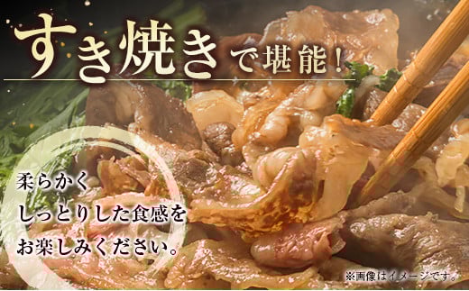 【宮崎牛】赤身スライス500ｇ 内閣総理大臣賞４連続受賞 Ａ４等級以上＜1.7-19＞