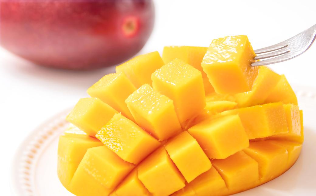 【先行予約】山下果樹園 西都市産完熟マンゴー2玉（合計900ｇ以上）化粧箱入り 2026年発送 <1.8-17> 果物 くだもの フルーツ 西都市 宮崎県 5月～7月順次発送