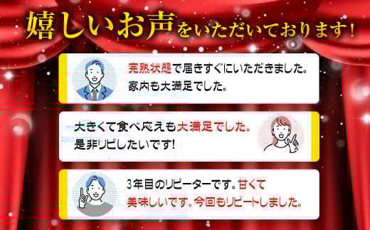 【先行予約】西都市産完熟マンゴー3Ｌ×2玉 2026年発送＜1.5-132＞W 宮崎県 西都市 果物 フルーツ