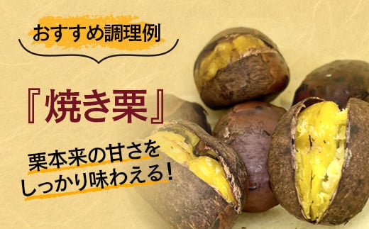 低温熟成栗 国産生栗1kg 糖度２～３倍上昇 西都市産＜1-289＞くり 栗  国産 生栗 果物 フルーツ 栗きんとん スイーツに★